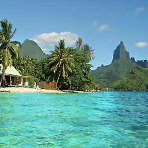 robinsons-cove-villas.frenchpolynesia-hotels.com/